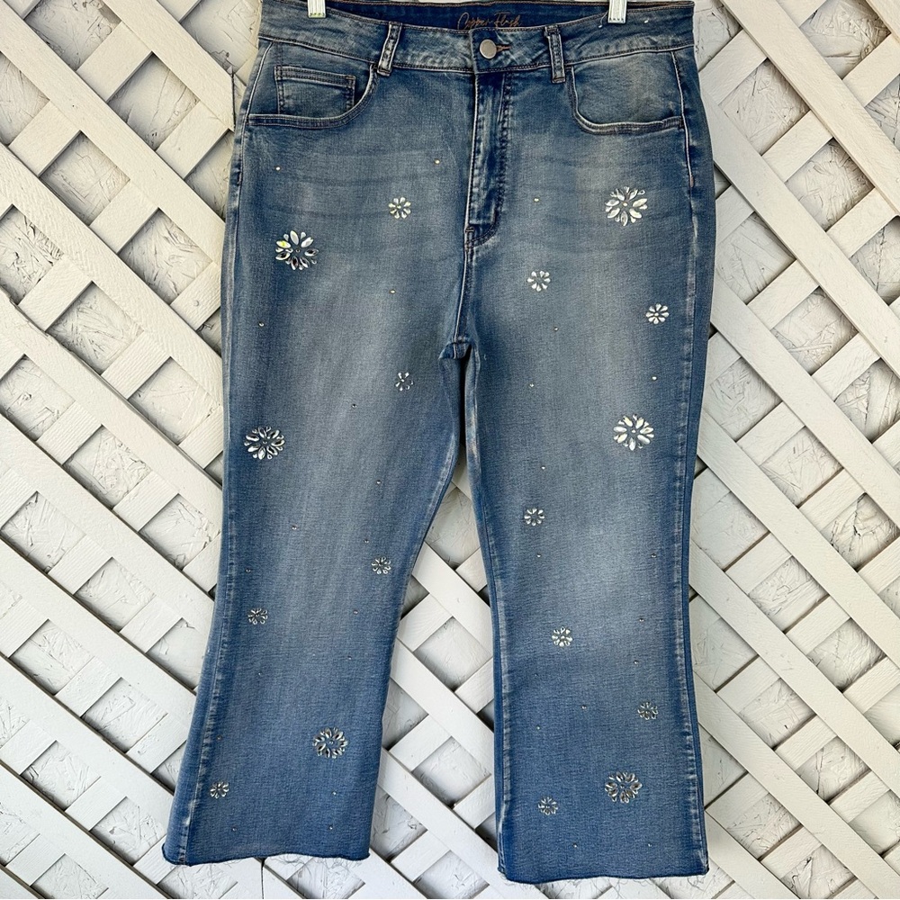 Copper Flash Embellished High Rise Cropped Jeans Hippie Boho Art To Wear 12